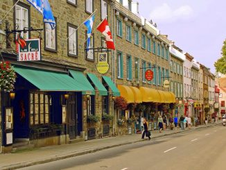 Videoconferencia para analizar nuevas listas de ocupaciones para emigrar a Quebec